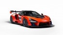 2018 McLaren Senna (P15)