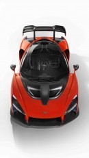 2018 McLaren Senna (P15)