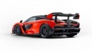 2018 McLaren Senna (P15)