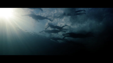 At the heart of the campaign is the nearly five-minute film "In the long run".  the campaign is complemented by a web special and a series of print motifs.