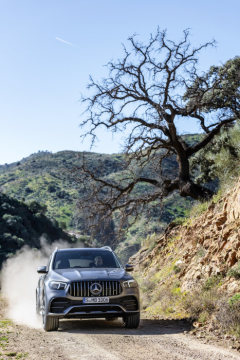 Mercedes-AMG GLE 53 4MATIC+ (2019), selenite grey