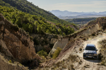 Mercedes-Benz GLS, 2019, AMG Line, designo selenite grey metallic